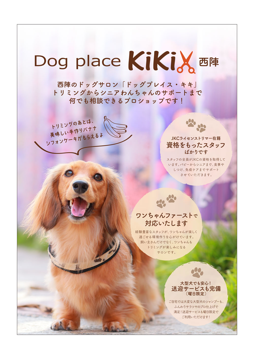 Dog place KiKi